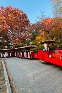 Toronto’s Top 15 Spots to Experience Fall Colors