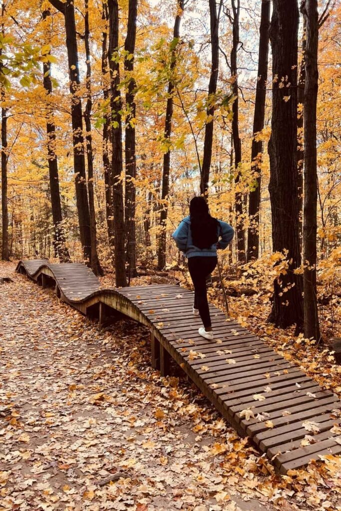 kelso conservation area