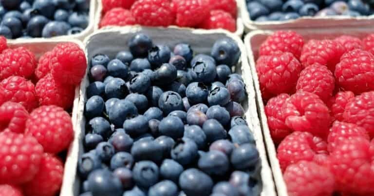 A Local’s Guide to the Best Farmers Markets in Toronto
