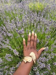 Lavender Farms in Ontario: Where to Go, When to Visit, and How to Make the Most of It
