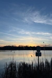 The Ultimate Local’s Guide to High Park, Toronto: What to See, Do & Eat
