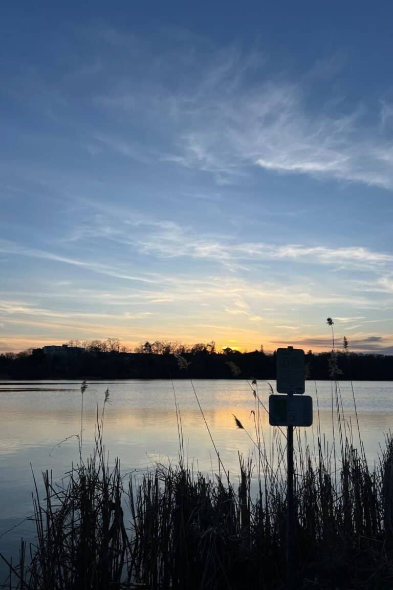 The Ultimate Local’s Guide to High Park, Toronto: What to See, Do & Eat