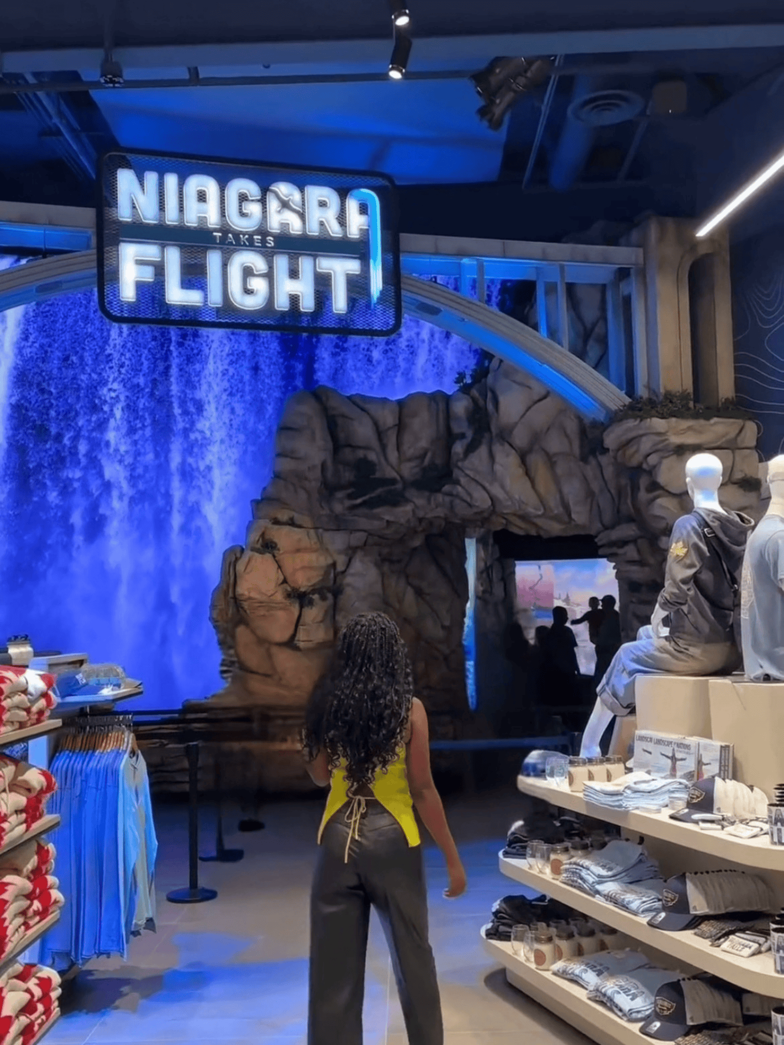 Niagara Takes Flight