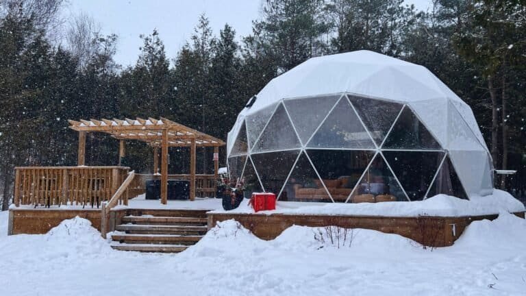 birch wood luxury camping