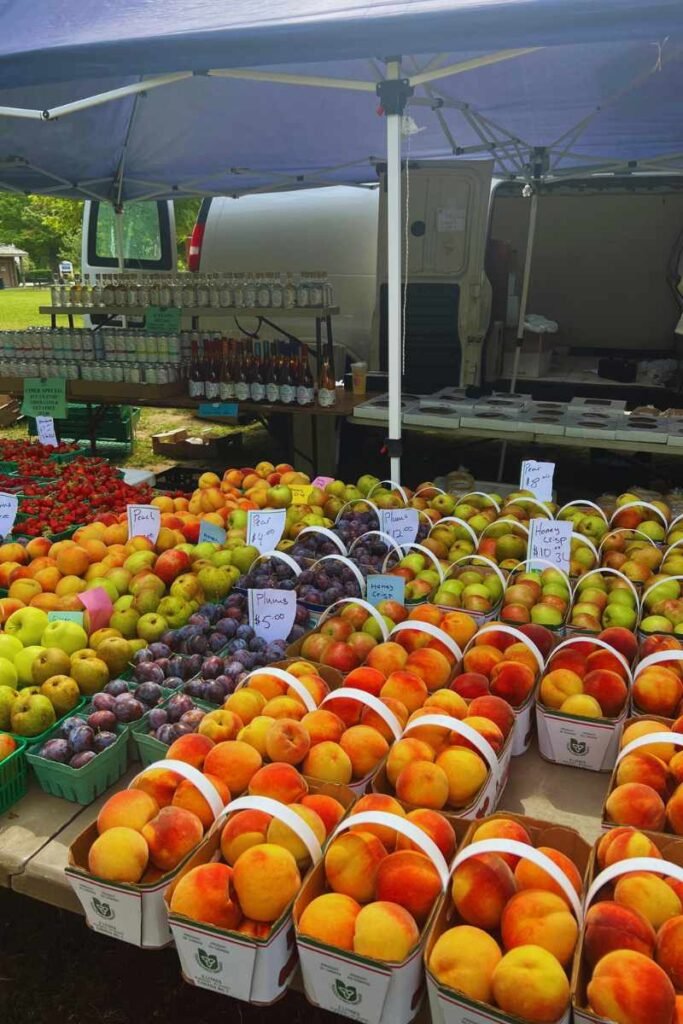 things to do in Bayfield Ontario