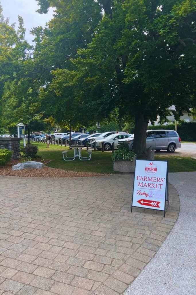 things to do in Bayfield Ontario