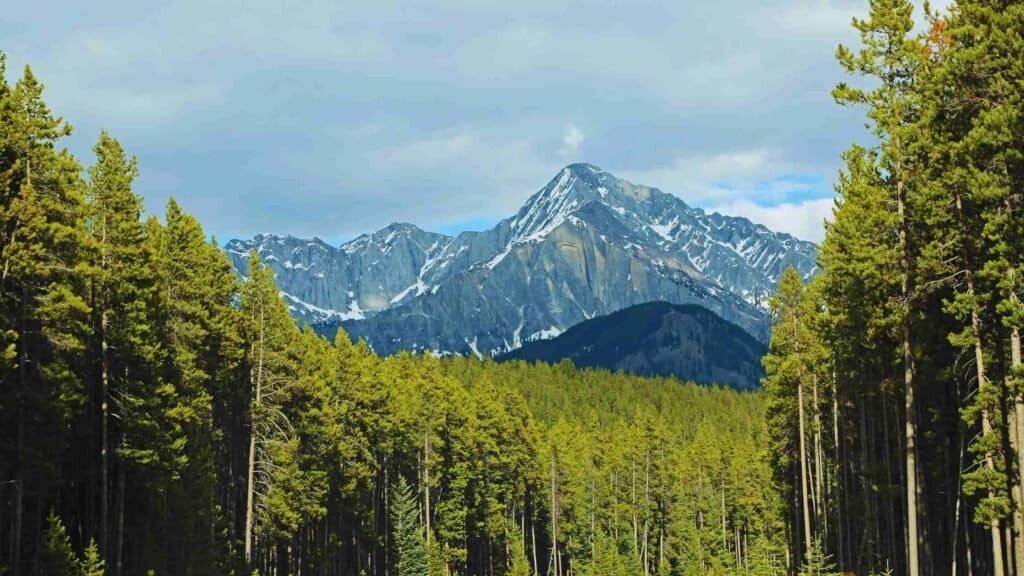 Banff National Park Itinerary - Bow Valley Parkway