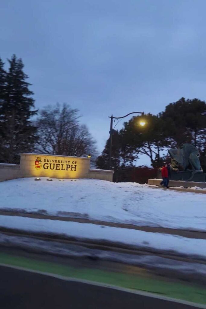 Places to Stay in Guelph