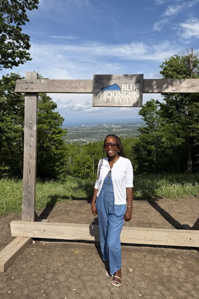toronto to blue mountains