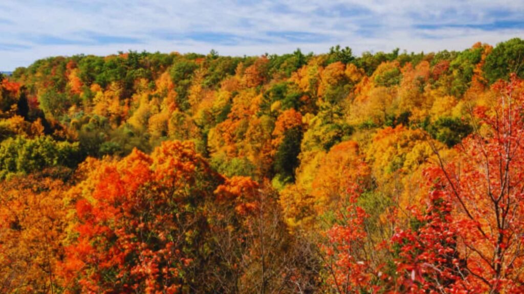 ontario fall getaways